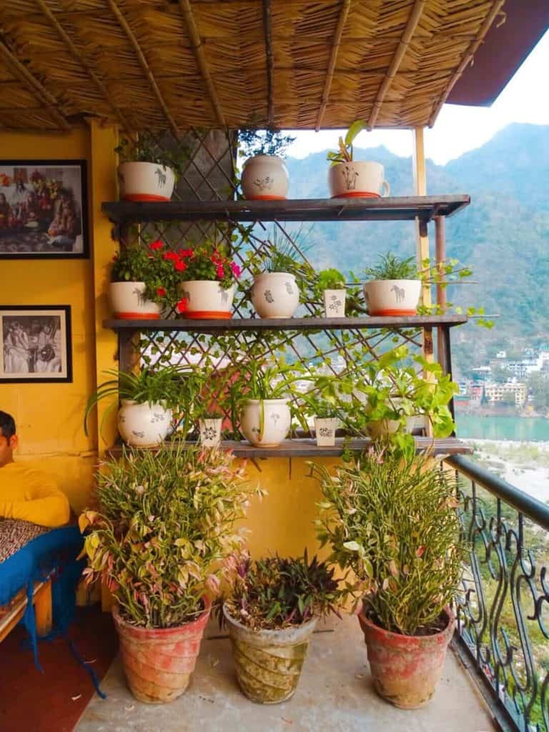 Pot plants Beatles Cafe Rishikesh