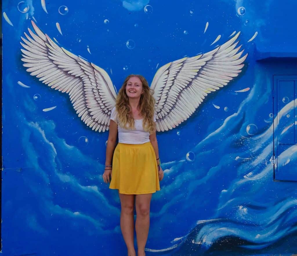 Wings mural