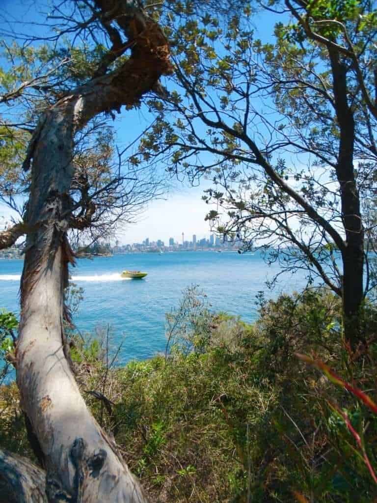 Sydney free things to do